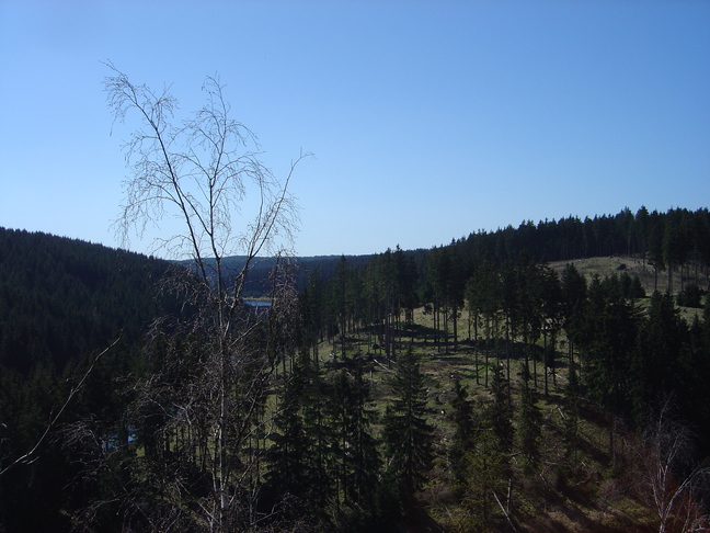 DSC07983